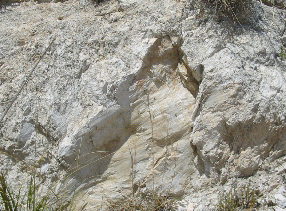 Faglia